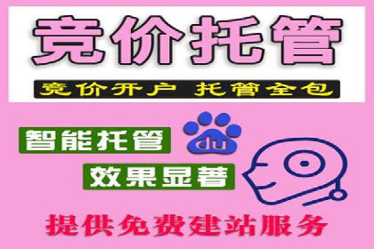 百度推广广告案例：快速抢占市场份额